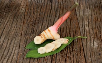 Galanga(Alpinia galangal)